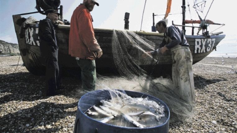 Deze makreelvissers in Hastings werken onder het MSC-keurmerk. (Nick Turner, HH) Beeld  /Hollandse Hoogte