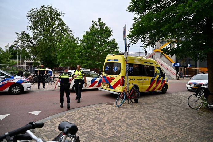 De politie pakte meteen iemand op bij station Arnhem na een steekincident.