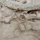 3500 jaar oud skelet gevonden in Griekse stad Pylos