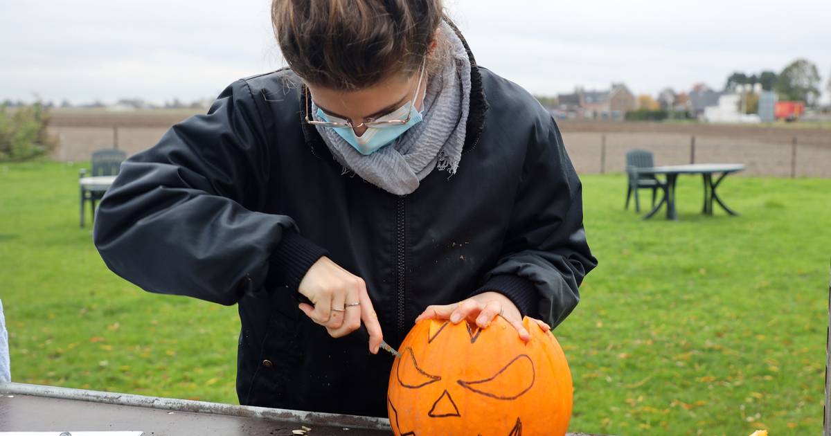 Hoe maak je zelf een Halloween-pompoen? Bij Charlotte's Pompoenen doen ...