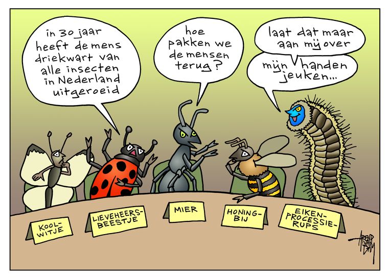 null Beeld Arend van Dam