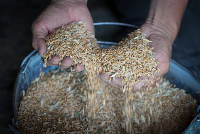 La perte d'un quart des terres cultivables en Ukraine ne constitue pas "une menace pour la sécurité alimentaire" du pays, selon le ministère de l'Agriculture.