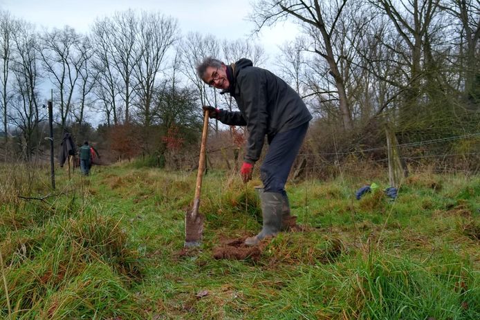 Medewerkers van Natuurpunt Haaltert tijdens een plantactie in de Holbeekvallei in Den Dotter.