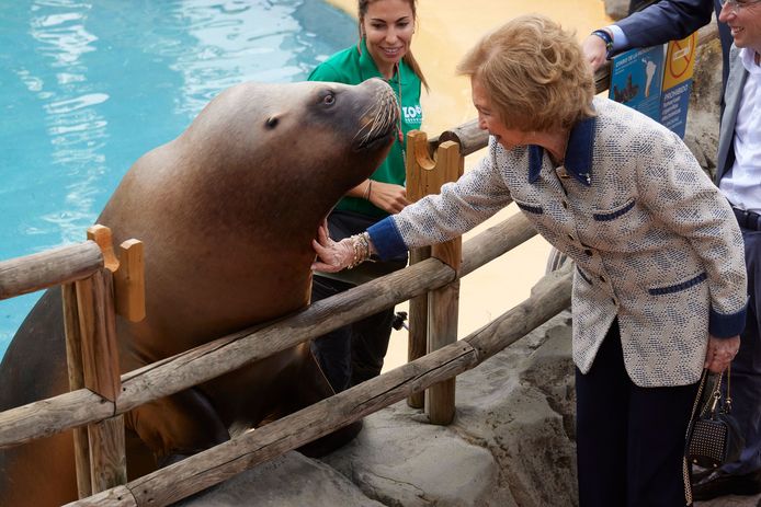 La regina Sofia con un leone marino.