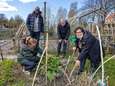 Politiek wil oplossing voor hobbytuinen: ‘Geen nette manier om met stadsgenoten om te gaan’