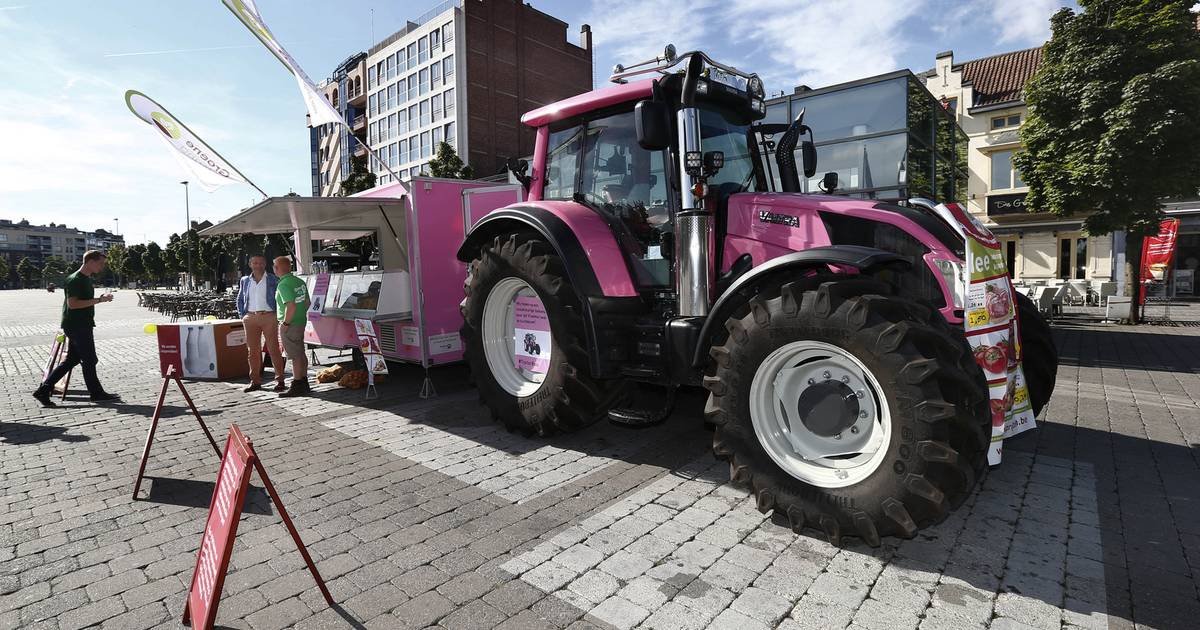 Roze Tractor Speelgoed Met Werkend Stuur, Openslaande Deur En Motorkap – Voor Kids Vanaf 3 Jaar, Stevig En Licht
