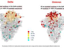 Le variant Omicron présente beaucoup plus de mutations que le Delta