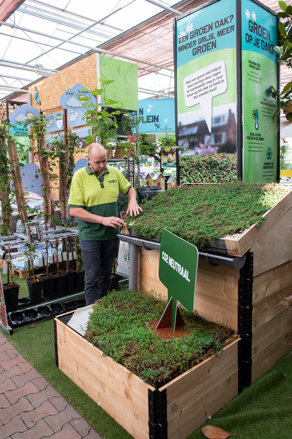 Een andere manier om water op te vangen zijn planten op het dak. Marcel L’Abee van GroenRijk Schalk in Prinsenbeek laat zien hoe dakplanten op het dak kunnen worden aangebracht.
