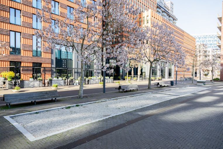 George Gershwin Square.  Image Nina Schollaardt