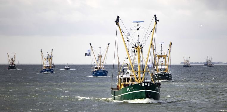 Vissers hijsen piratenvlag tegen windturbines: ‘De trillingen jagen de vissen kilometers ver weg’