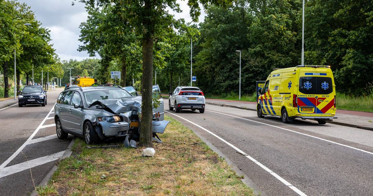 Auto raakt van de weg en botst tegen boom in Roosendaal, bestuurder