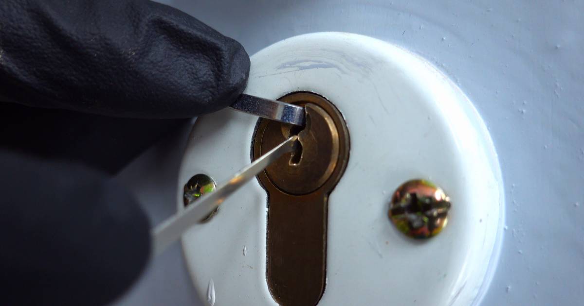 Reeks woninginbraken in de Kempen mogelijk opgelost dankzij alerte inwoner