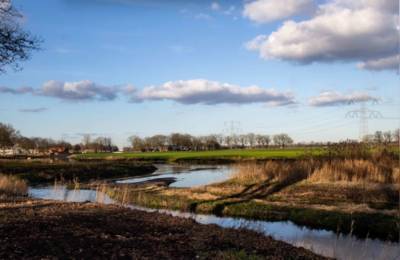 Wandeltocht IVN door het Starkriet
