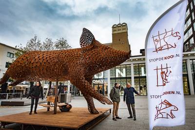 Immens varken als kunst in centrum Nijmegen