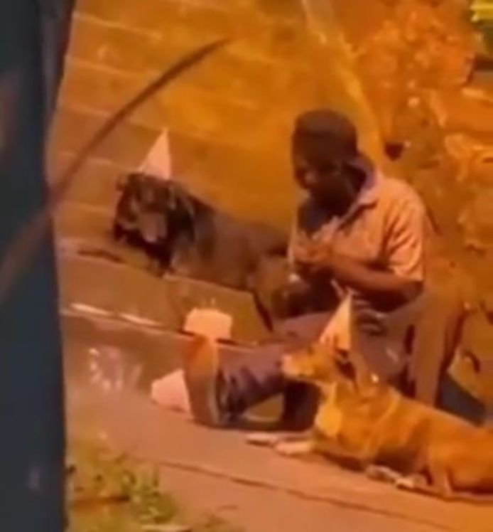 Grâce à une vidéo devenue virale sur laquelle on le voit fêter l'anniversaire de ses chiens, et grâce à l'engouement populaire qu'elle a suscité, Choco a pu trouver un logement.