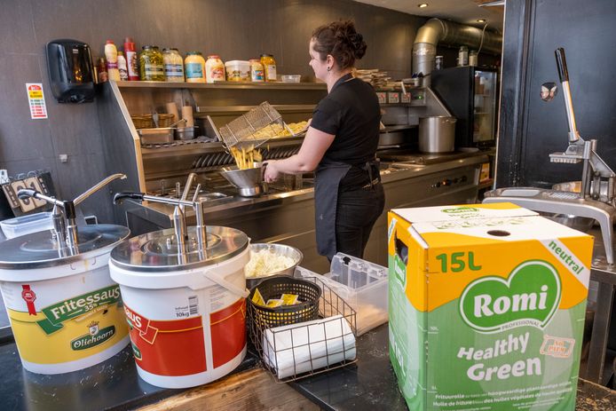 Demi van der Meer haalt de friet uit de olie. Honderd procent zonnebloemolie, zolang het nog kan.