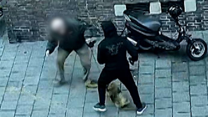 In de uitzending van Opsporing Verzocht is aandacht voor een gewelddadige straatroof op een 79-jarige man in Den Haag.