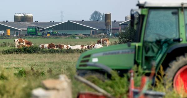 Inwoners Maren-Kessel voelen zich overdonderd door windmolenpark