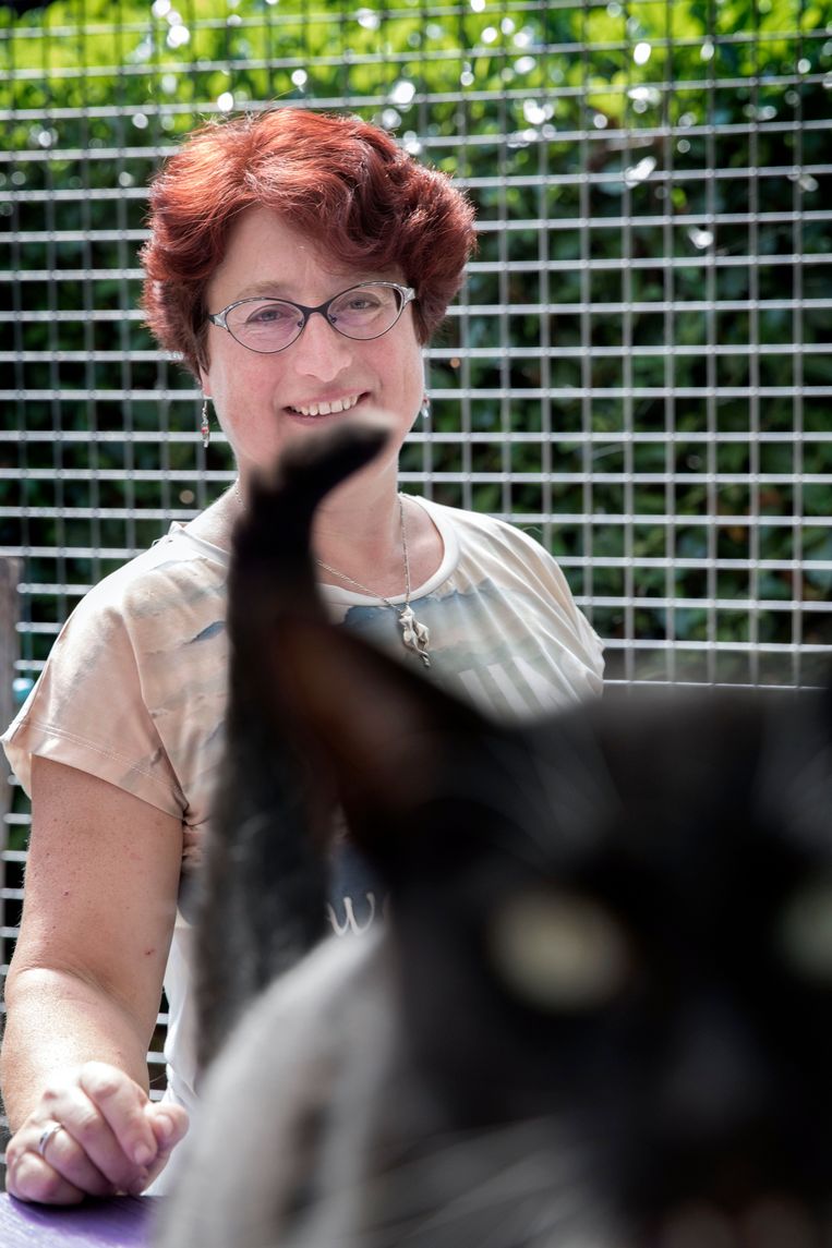 null Beeld Werry Crone