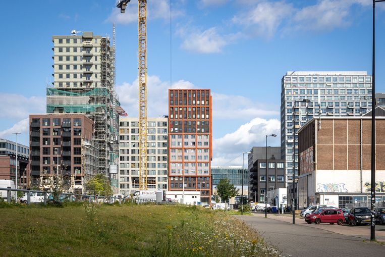 Bouwprojecten NDSM werf Amsterdam Noord, vorig jaar. Beeld ANP / Isabel Nabuurs Fotografie