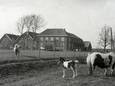 Plaat delict: boerderij Holthuizen bij Huissen.