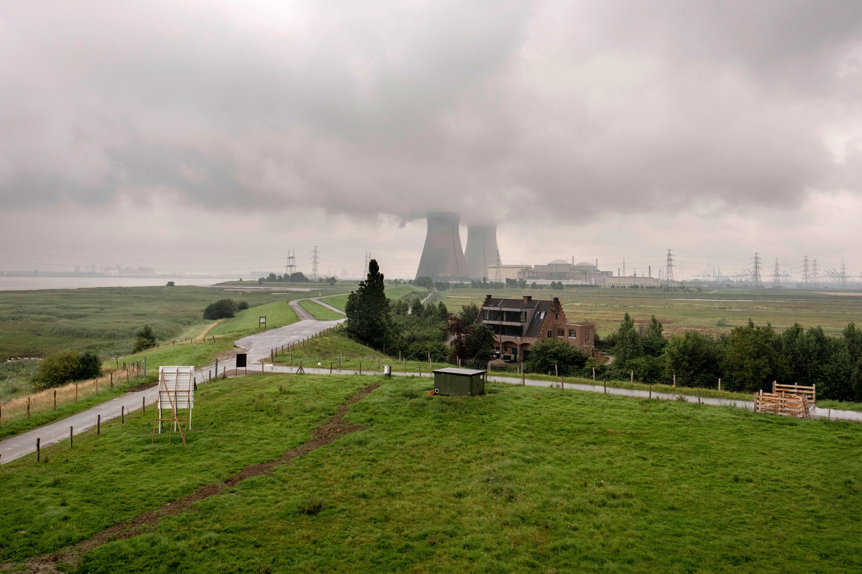 De Hedwigepolder met op de achtergrond kerncentrale Doel.