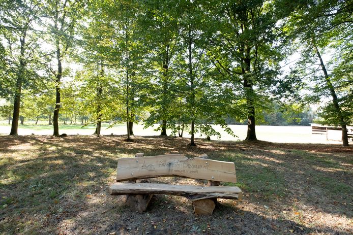 Veel groen op het Domein Ter Laken