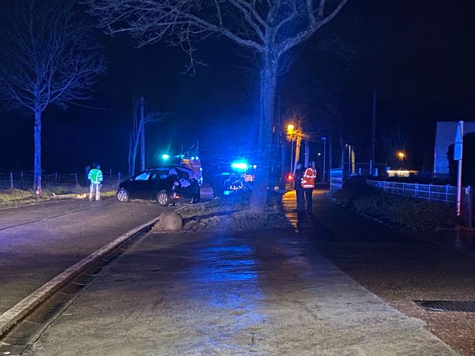 PUURS-SINT-AMANDS - Een wagen botste donderdagavond tegen een boom. De passagier raakte gewond. Hij werd door de brandweer bevrijd.