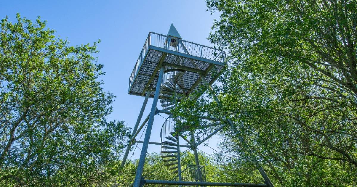 Uitkijktoren op Slikken van de Heen wordt verhoogd