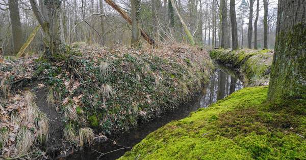 Verborgen wallen Velder en Het Speet ouder dan Sint Jan