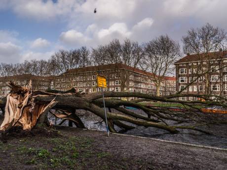 Politie verstuurt NL-Alert: noodnummer 112 overbelast, blijf binnen