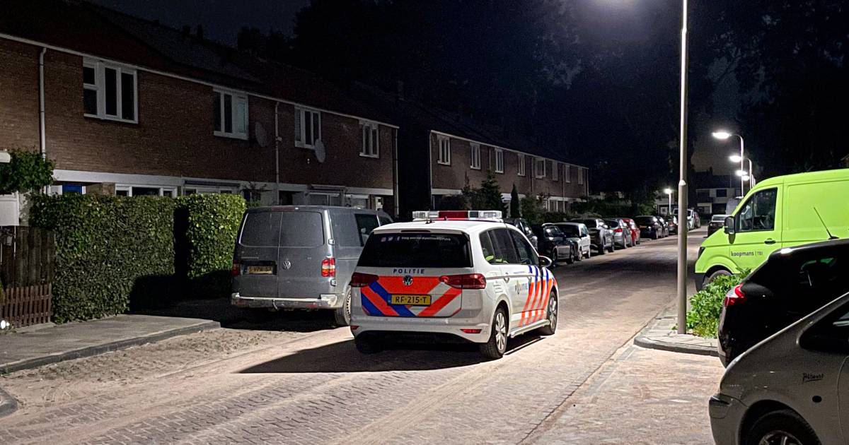 Diep in de nacht wordt 94jarige vrouw in bed ruw beroofd van dierbare ring: 'Ontiegelijk laf' 