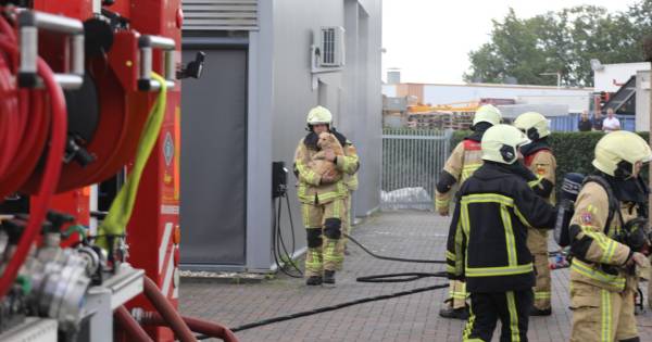 Brandweer rukt uit voor brand in Rijssen; twee honden gered .