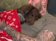 Het leven zoals het is, de Beckhams: de hond toedekken met een dekentje van 5.000 euro