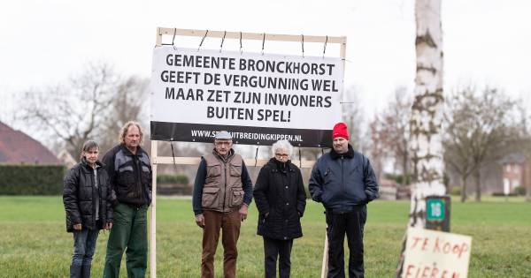 Buurt strijdt tegen kippenhouderi: gemeente heeft ons ‘gepiepeld’