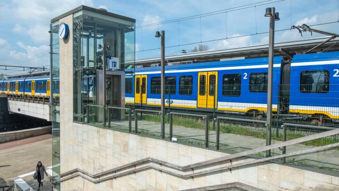 Boom op spoor: geen treinen tussen Nunspeet en Putten
