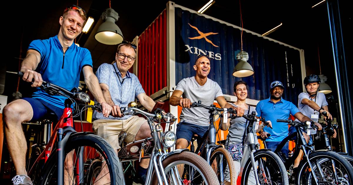 Buitenboordmotor Uittrekken Inademen Deze fietsen komen als beste uit de test: van racefiets tot sportieve  e-bike | Fietstest 2020 | AD.nl