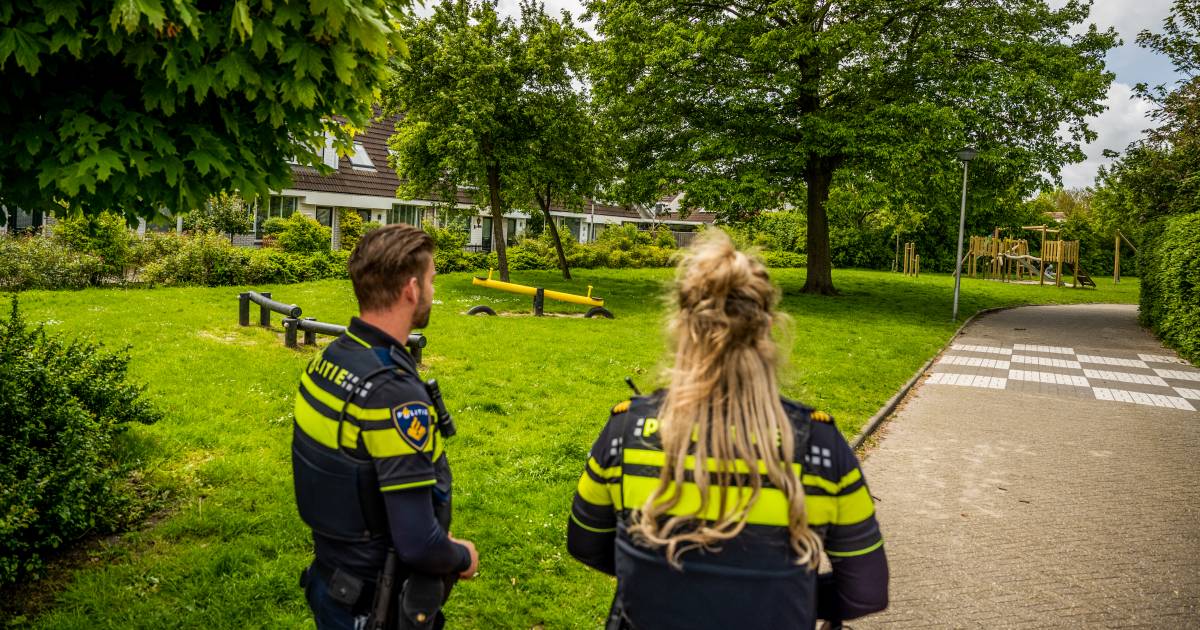 Moeder neergestoken door kind van 11 in Hellevoetsluis: 'Gingen alleen de kinderen halen’