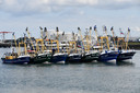 Vissersschepen blokkeren de Buitenhaven in Vlissingen