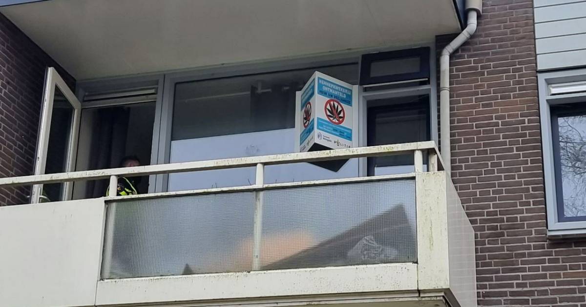 Politie rolt Hengelose hennepkwekerij op: 1 aanhouding.