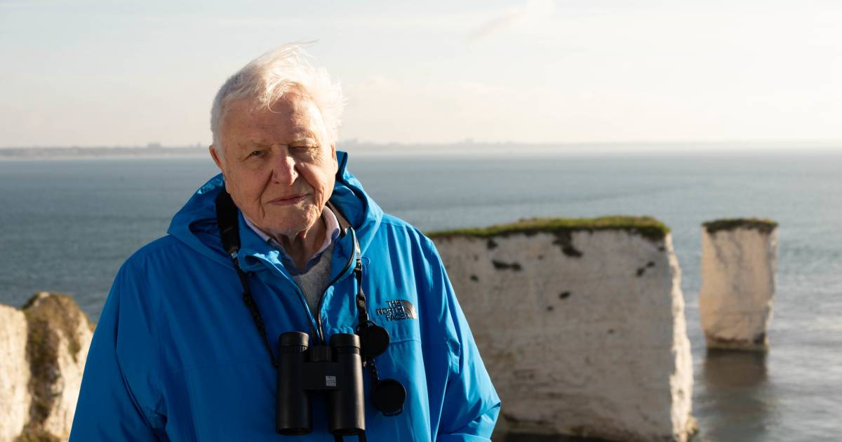 British media: David Attenborough presented the latest series on the website  Displays