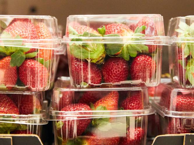 Aardbeiencrisis breidt uit: ook in Nieuw-Zeeland naalden in fruit