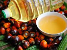 Berlin appelle à cesser l'importation d'huile de palme non certifiée