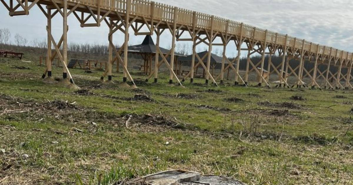 Una passeggiata nella foresta ungherese costruita con denaro europeo… senza la foresta |  mondo