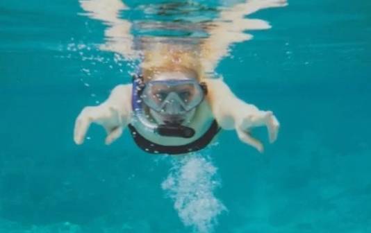 Zilla plaatste een foto op Facebook, snorkelend in Thailand. De foto is in werkelijkheid genomen in een zwembad in Amsterdam.