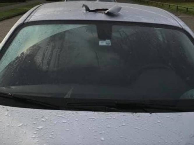 ‘Akelige methode’: autodieven plunderen BMW’s door dak open te knippen