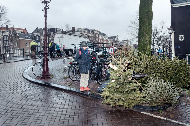 Kerstbomen op de hoek van de Prinsengracht. Beeld Jakob Van Vliet