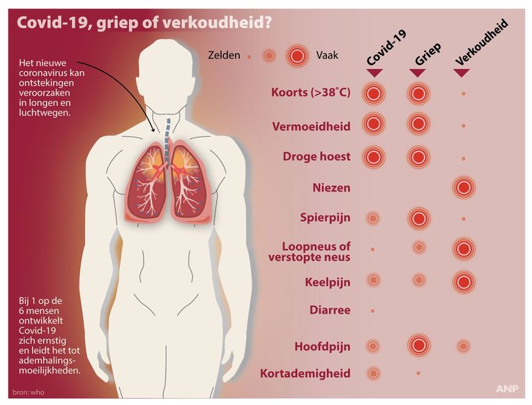 Deze infografiek maakt de vergelijking tussen de symptomen van een griep, een verkoudheid en het coronavirus. Beeld ANP Graphics