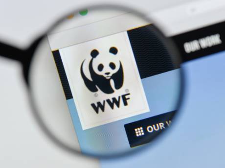 La Belgique doit investir des “milliards d’euros” pour enrayer l’effondrement de la biodiversité
