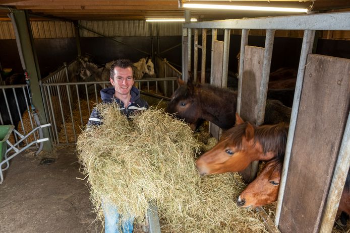 Veluwse Erik Rijdt Als Prins Op Witte Paard Naar Boer Zoekt Vrouw Boerin Annemiek Maar Ontmoet Kapers Op De Kust Apeldoorn Destentor Nl